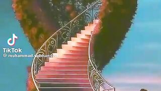 Malik 59