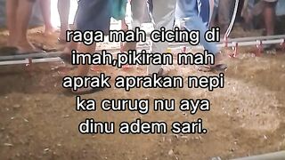 ayam broiler || kata kata lucu 535
