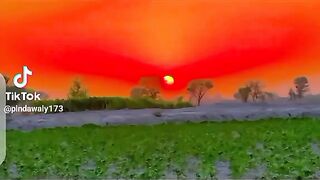 Malik 66