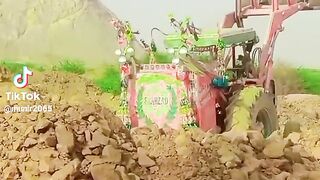 Malik 72