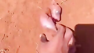 C'est magnifique