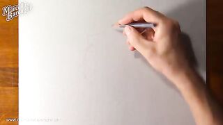 How to draw a purple rose - Time Lapse (Long Version)