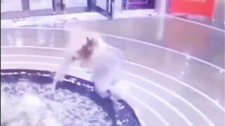 Ce qui arrive lorsque l'on ne regarde pas où l'on met les pieds