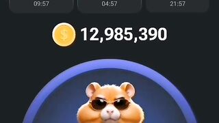 Daily comboo in hamster kombat bot 25/6 /2024