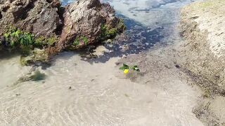 O mar me energiza