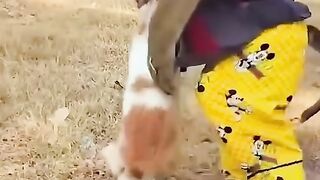 Funny monkey 21