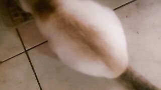 Cute Mickey eating and playing with his owner.
