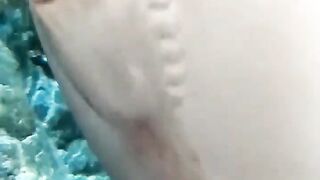 The Fish