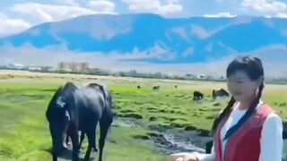 Amazing.When an animal understands a human