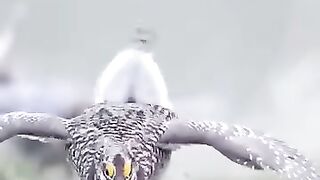 Incroyable talent 3