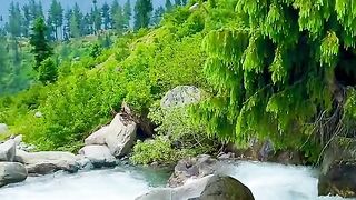 status,status video,status song,status whatsap,beast song,good song,video,natural 893