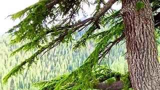 status,status video,status song,status whatsap,beast song,good song,video,natural 895