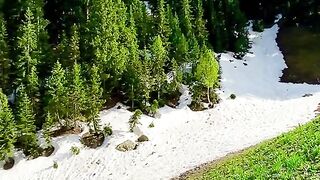 status,status video,status song,status whatsap,beast song,good song,video,natural 909
