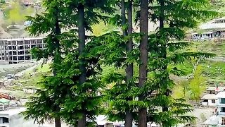 status,status video,status song,status whatsap,beast song,good song,video,natural 912