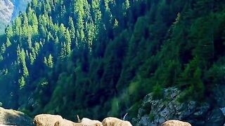 status,status video,status song,status whatsap,beast song,good song,video,natural 917
