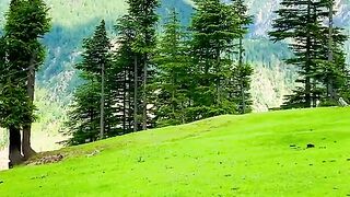 status,status video,status song,status whatsap,beast song,good song,video,natural 918