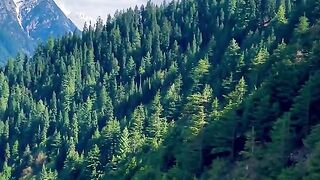 status,status video,status song,status whatsap,beast song,good song,video,natural 921