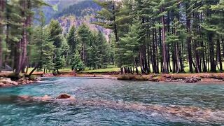 status,status video,status song,status whatsap,beast song,good song,video,natural 931