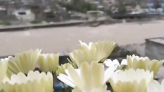 status,status video,status song,status whatsap,beast song,good song,video,natural 938