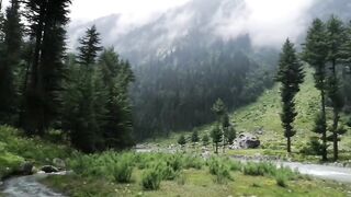 status,status video,status song,status whatsap,beast song,good song,video,natural 945