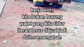 ayam broiler || kata kata lucu 538