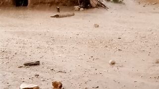 raining day