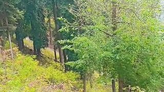 status,status video,status song,status whatsap,beast song,good song,video,natural 954