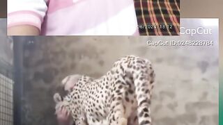 Capcut new trending music video watching now and subscribe my channel 35