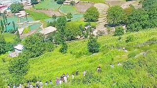 status,status video,status song,status whatsap,beast song,good song,video,natural 963