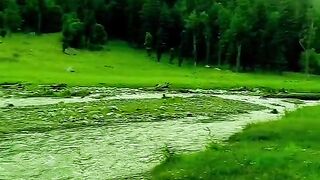 status,status video,status song,status whatsap,beast song,good song,video,natural 964