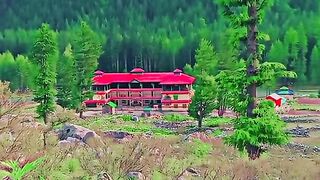 status,status video,status song,status whatsap,beast song,good song,video,natural 965