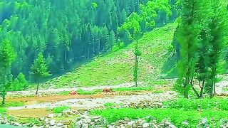 status,status video,status song,status whatsap,beast song,good song,video,natural 970