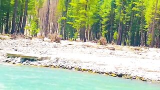 1060,status,status video,status song,status whatsap,beast song,good song,video,natural 978