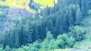 status,status video,status song,status whatsap,beast song,good song,video,natural 979