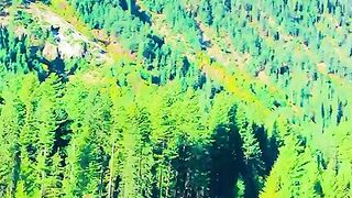 status,status video,status song,status whatsap,beast song,good song,video,natural 985