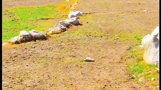 status,status video,status song,status whatsap,beast song,good song,video,natural 986