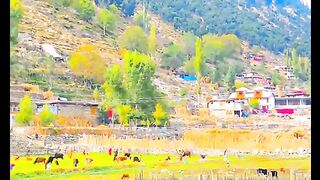 status,status video,status song,status whatsap,beast song,good song,video,natural 989