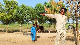 Cricket on camel ????????