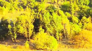 status,status video,status song,status whatsap,beast song,good song,video,natural 991