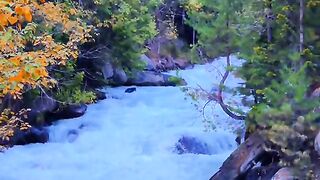 status,status video,status song,status whatsap,beast song,good song,video,natural 994