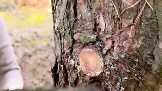wild survival