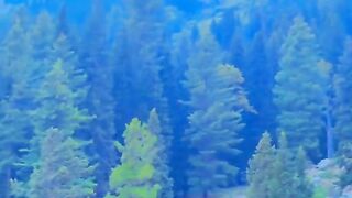 status,status video,status song,status whatsap,beast song,good song,video,natural 995