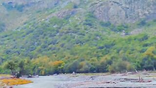 status,status video,status song,status whatsap,beast song,good song,video,natural 996