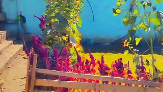 1070,status,status video,status song,status whatsap,beast song,good song,video,natural 998