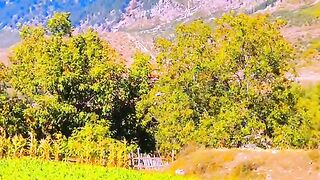 status,status video,status song,status whatsap,beast song,good song,video,natural