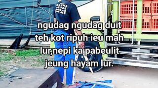 ayam broiler || kata kata lucu 540