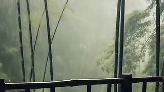 Suara music hujan relaksasi