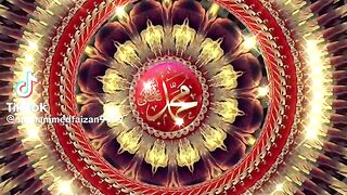 Malik touqeer 5