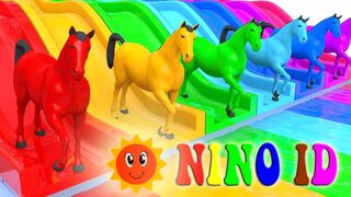 Video For Kids | Nursery Rhymes & Kids Songs #2