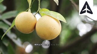Exploring Fruits for Weight Loss A Balanced Approach